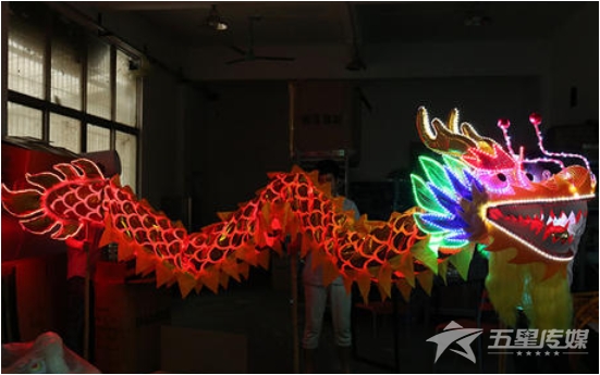 &nbsp;安康LED舞龙