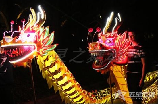&nbsp;安康LED舞龙