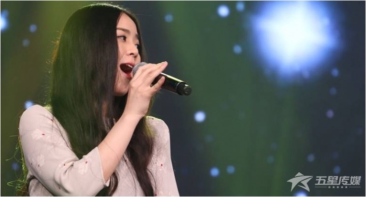 &nbsp;&nbsp;安康歌手丁菲