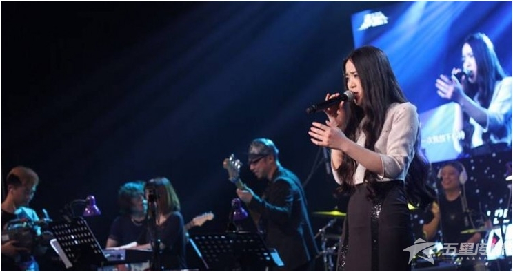 &nbsp;安康歌手丁菲