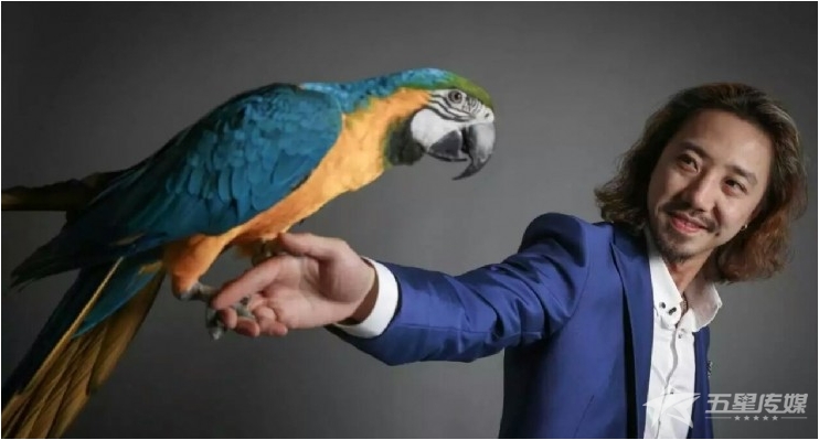 &nbsp;安康职业魔术师阿海