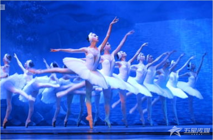 &nbsp;安康芭蕾舞天鹅湖