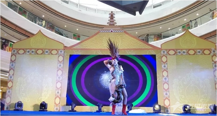 &nbsp;安康红艺人表演